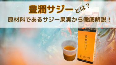 豊潤サジーとは？原材料であるサジー果実から徹底解説します！