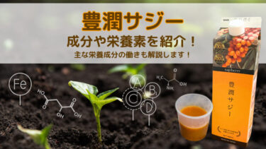 豊潤サジーの成分や栄養素を成分表を使って紹介！主な栄養成分の働きも解説します！