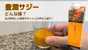 豊潤サジーの味はどんな味？私が飲用した感想やネット上の声もご紹介！
